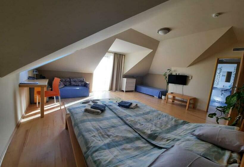 스탠다드 룸, Sportház