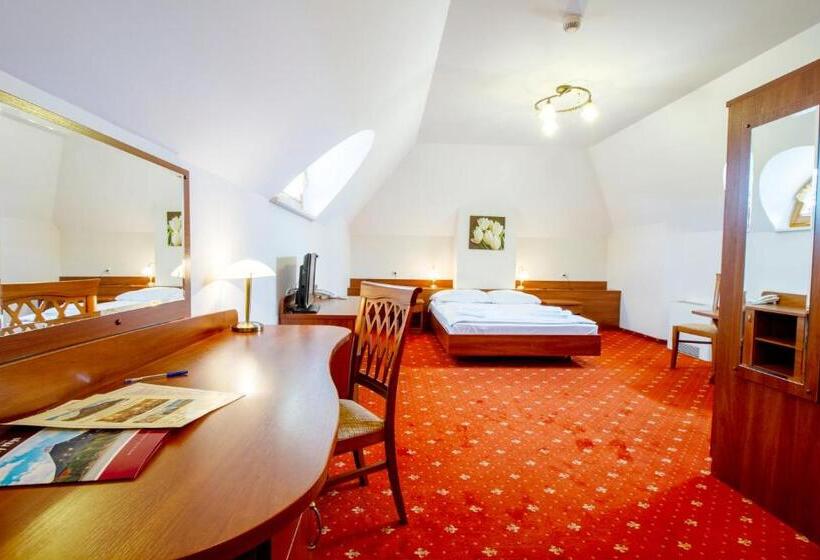 غرفة ديلوكس, Stary Młyn