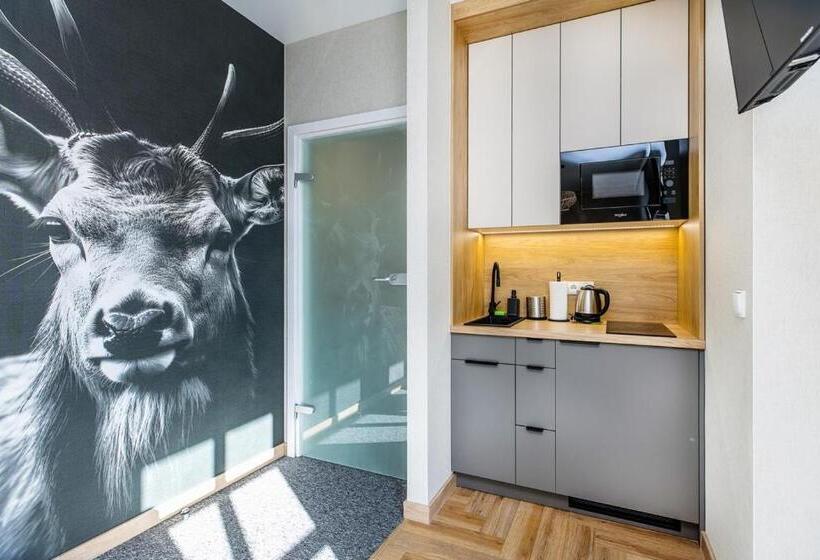 شقة غرفة واحدة, Willa Marysin Bukowina Tatrzańska