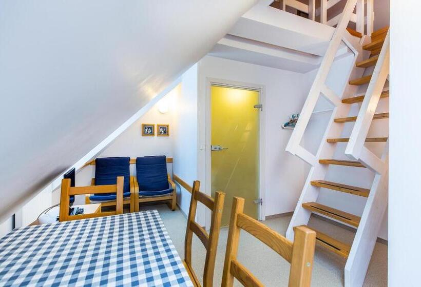 شقة ديلوكس غرفة نوم واحدة, Willa Marysin Bukowina Tatrzańska