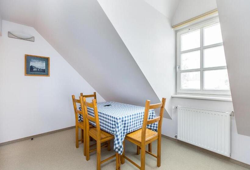 شقة ديلوكس غرفة نوم واحدة, Willa Marysin Bukowina Tatrzańska