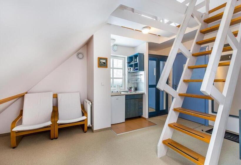 شقة ديلوكس غرفة نوم واحدة, Willa Marysin Bukowina Tatrzańska