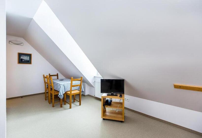 شقة ديلوكس غرفة نوم واحدة, Willa Marysin Bukowina Tatrzańska