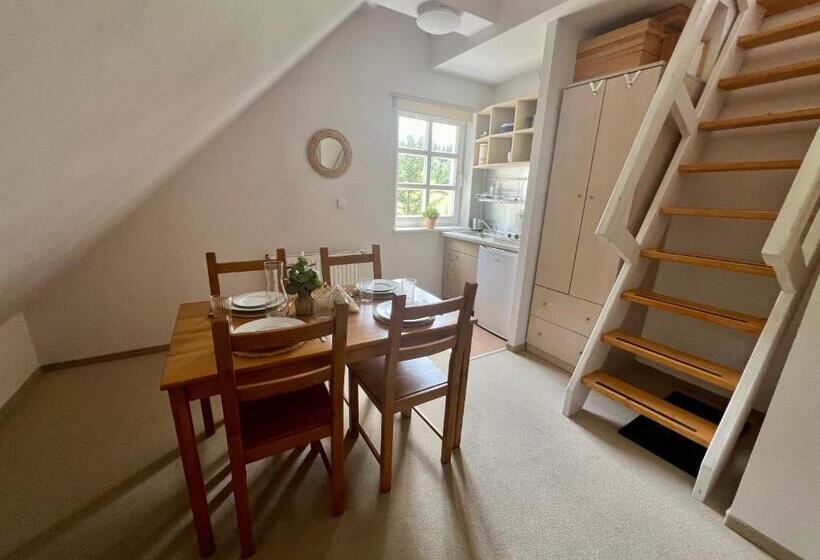 شقة ديلوكس غرفة نوم واحدة, Willa Marysin Bukowina Tatrzańska