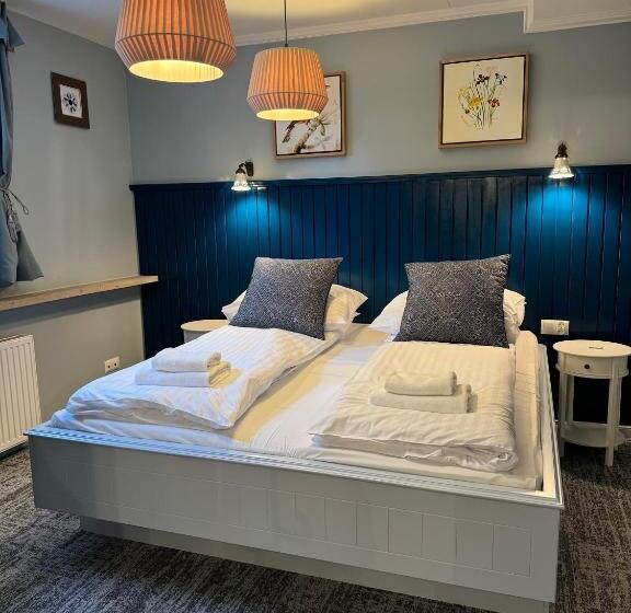 شقة ديلوكس غرفة واحدة, Willa Marysin Bukowina Tatrzańska