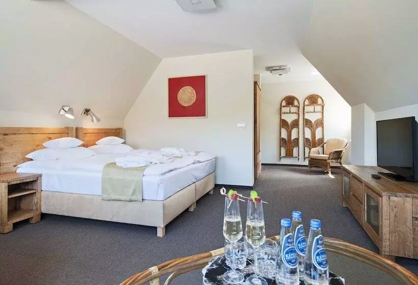 スタンダードルーム, żywiecki Medical Spa & Sport żywiec