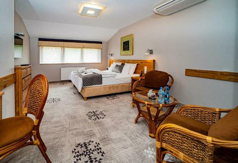 غرفة قياسية, żywiecki Medical Spa & Sport żywiec