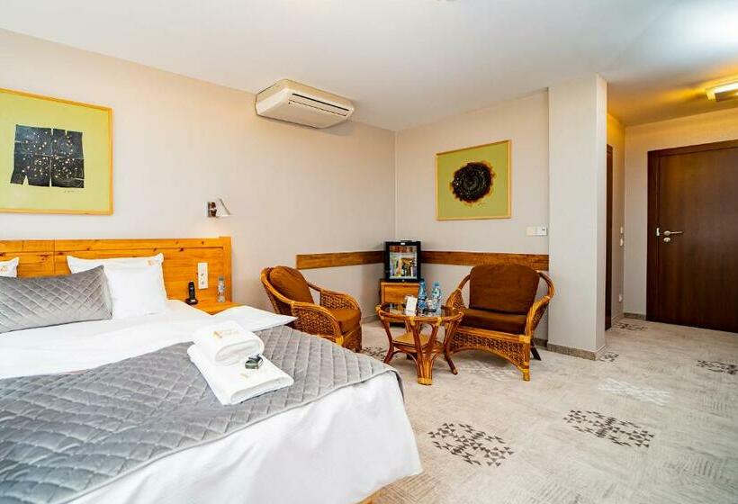 スタンダードルーム, żywiecki Medical Spa & Sport żywiec