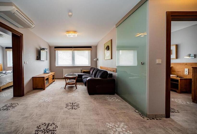 شقة غرفتين, żywiecki Medical Spa & Sport żywiec