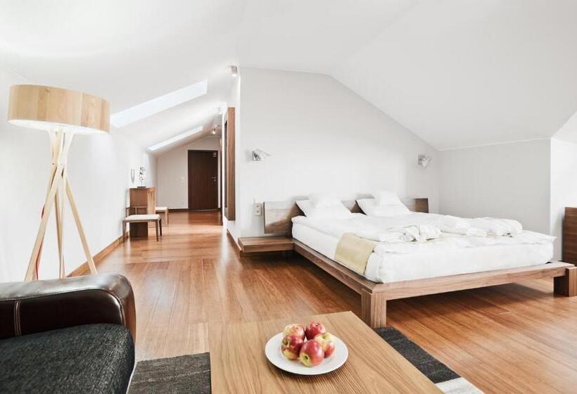 شقة دور أخير غرفة نوم واحدة, żywiecki Medical Spa & Sport żywiec