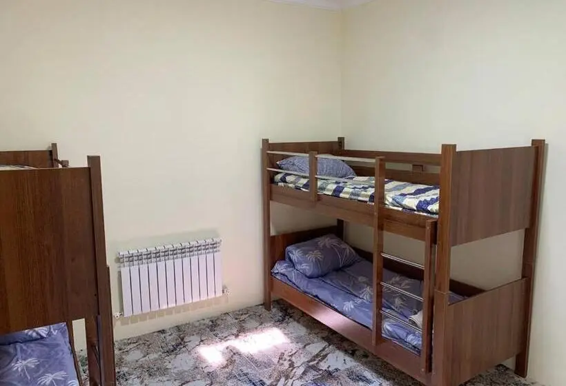 تختخواب در اتاق مشترک, Adora Hostel Paid Airport Pick Up And Drop Off Guide Services!