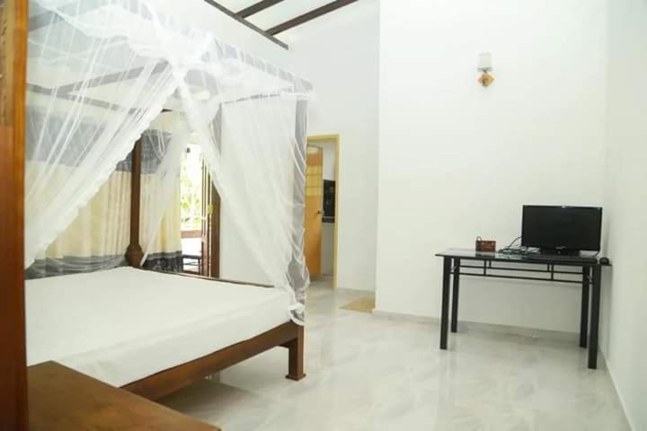 غرفة سوبيريور, Dream Next