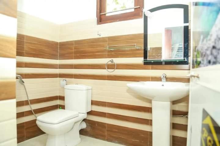 デラックスルーム, Dream Next