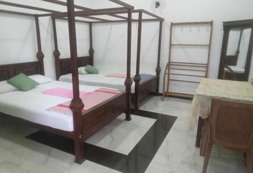 スタンダードルーム, Dream Next