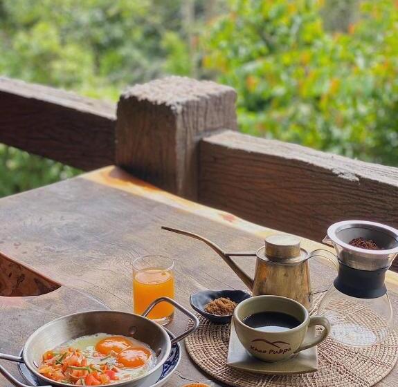 Quarto Estandar, The Pubpa Backyard