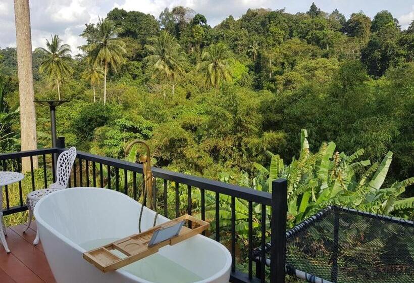 Quarto Estandar, The Pubpa Backyard