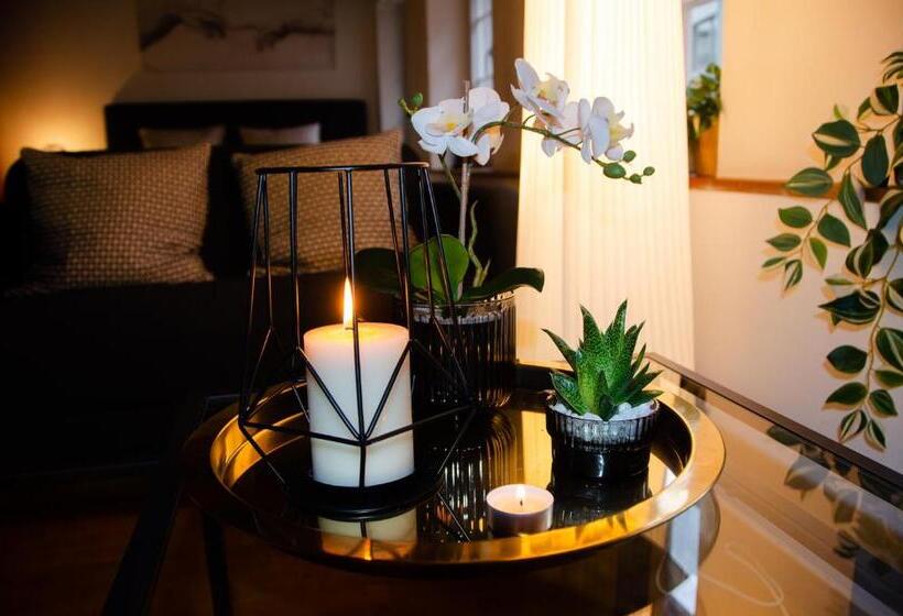 استودیوی لوکس, Many S Historical City Central Apartments