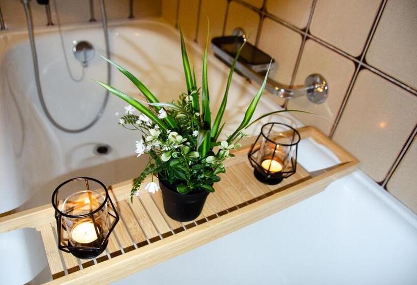 استودیوی لوکس, Many S Historical City Central Apartments