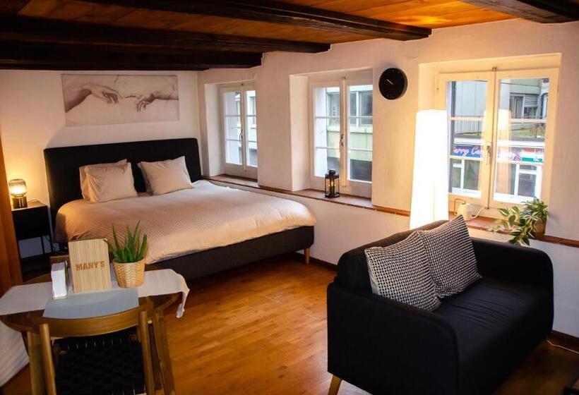 استودیوی لوکس, Many S Historical City Central Apartments