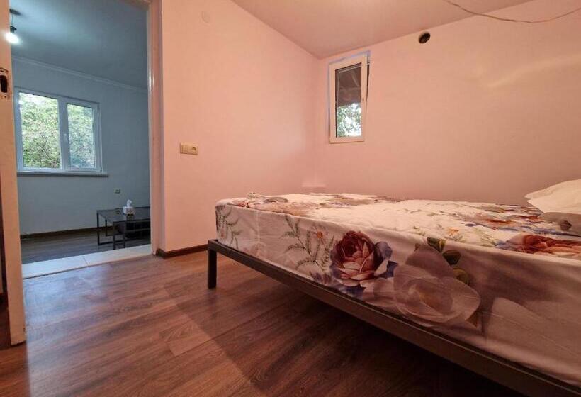 スタンダードスタジオ, Selina Guest House