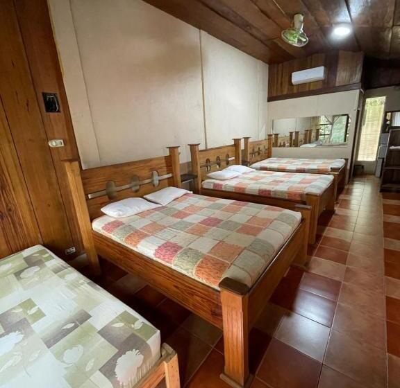 اتاق استاندارد چهارنفره با چشمانداز باغ, Ecológico Cabañas Del Lago