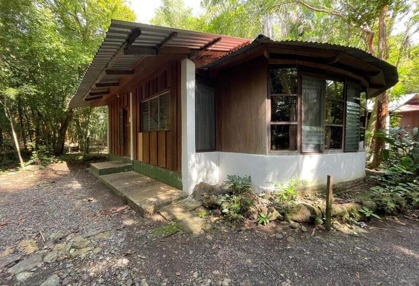 اتاق استاندارد چهارنفره با چشم‌انداز باغ, Ecológico Cabañas Del Lago