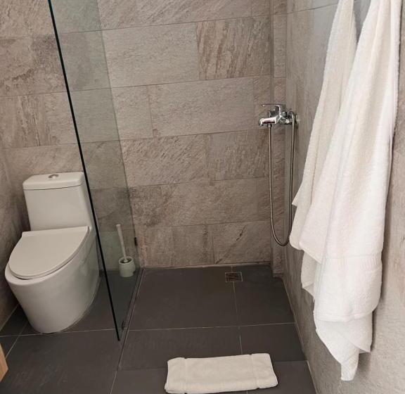 غرفة قياسية مزوَّدة بتراس, Emy House