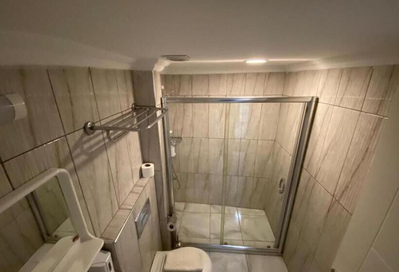 غرفة قياسية سرير كينج, Timex Suites