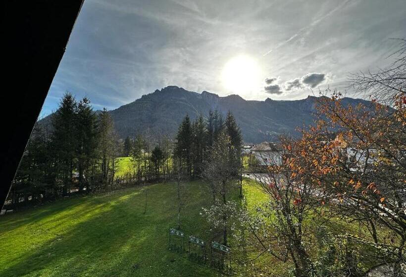 Номер Стандарт Вид на Горы, Esterer