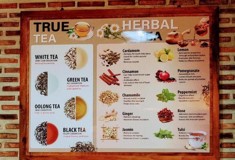 غرفة قياسية ثلاثية, Manu V House