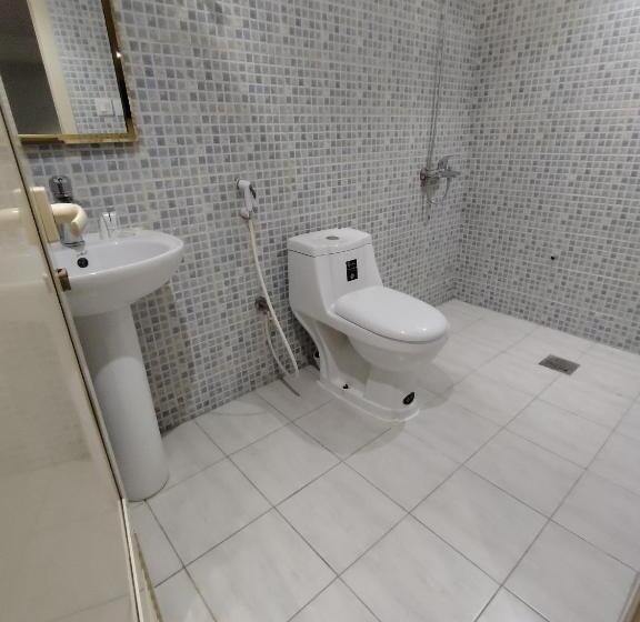 شقة غرفة واحدة, شقق لين