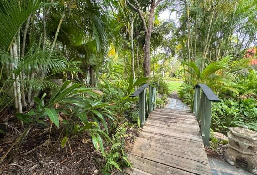 スーペリアスタジオ, Magnetic Island Resort Studio