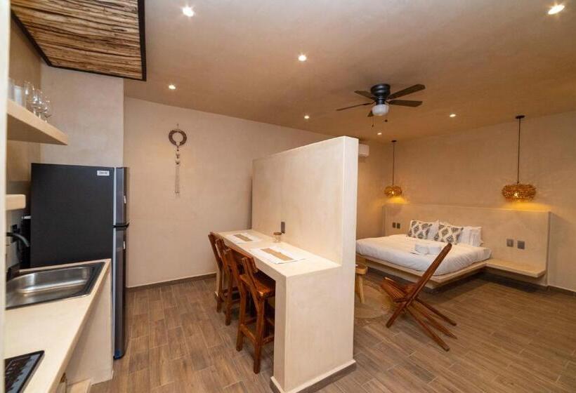 استودیوی استاندارد, The Teodoro