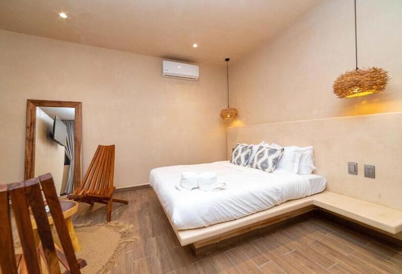 استودیوی استاندارد, The Teodoro