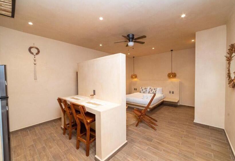 استودیوی استاندارد, The Teodoro