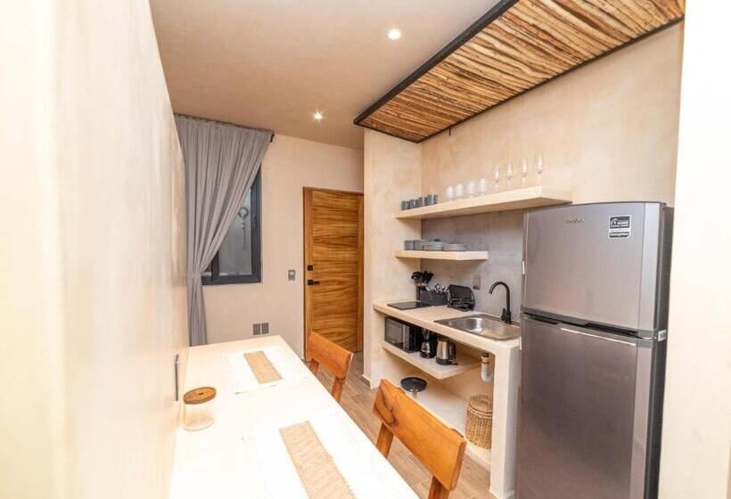 استودیوی استاندارد, The Teodoro