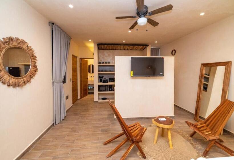 استودیوی استاندارد, The Teodoro