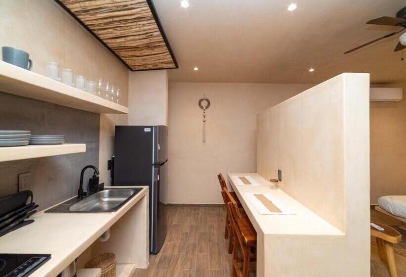 استودیوی استاندارد, The Teodoro