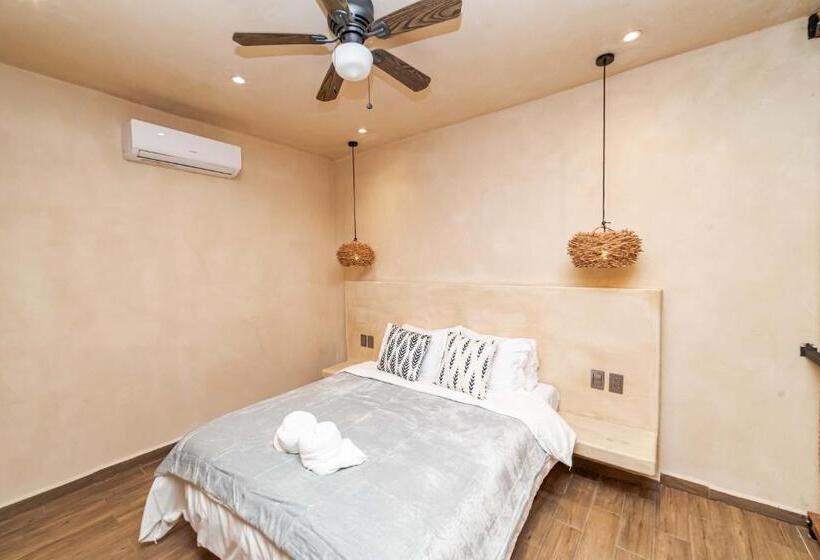 استودیوی لوکس, The Teodoro