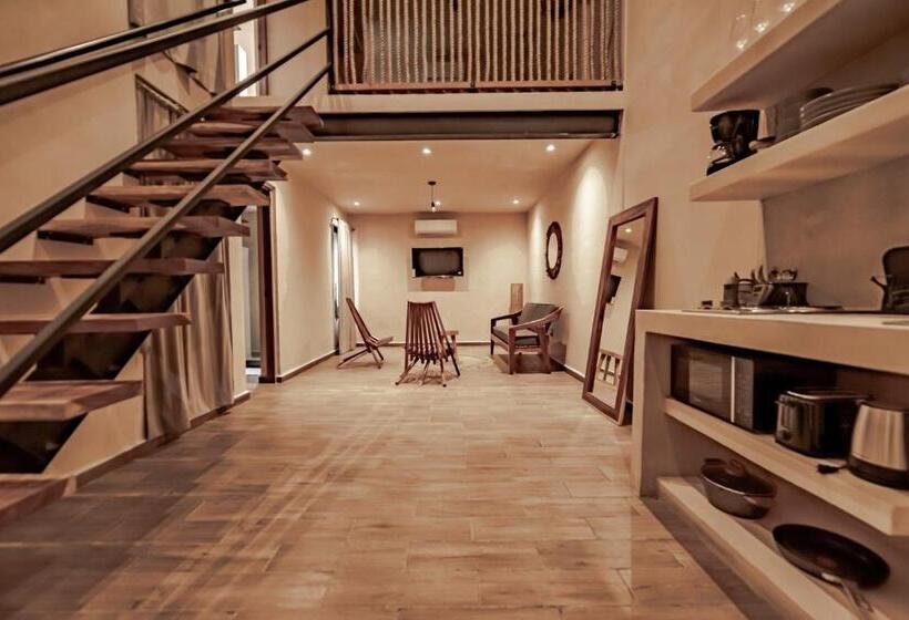 استودیوی لوکس, The Teodoro