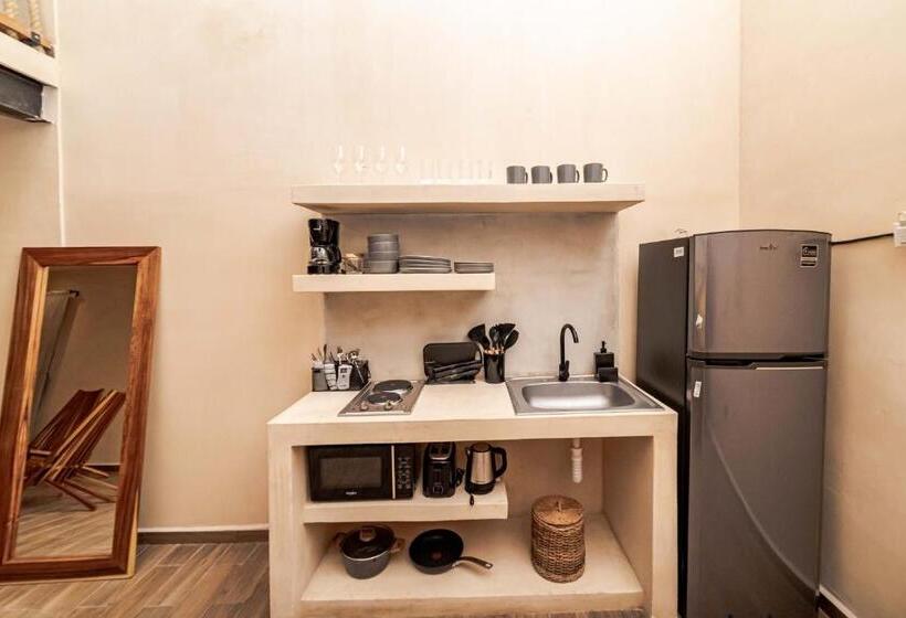 استودیوی لوکس, The Teodoro