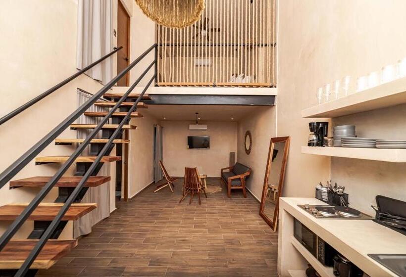 استودیوی لوکس, The Teodoro