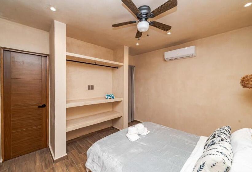 استودیوی لوکس, The Teodoro