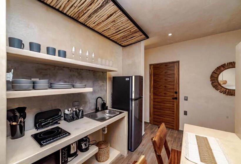 استودیوی سوپریور, The Teodoro