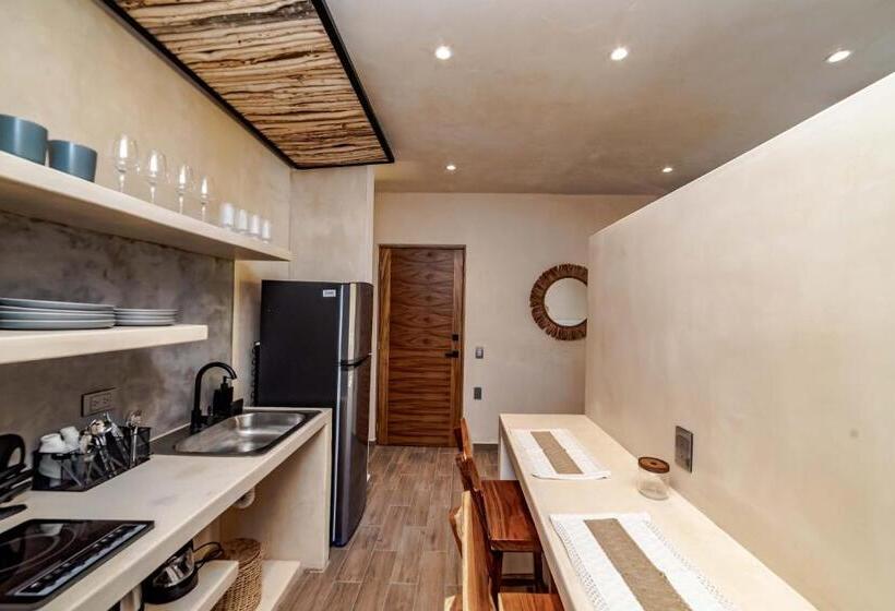 استودیوی سوپریور, The Teodoro