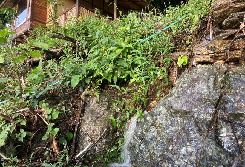 스탠다드 스튜디오, Art Mile Kalimpong