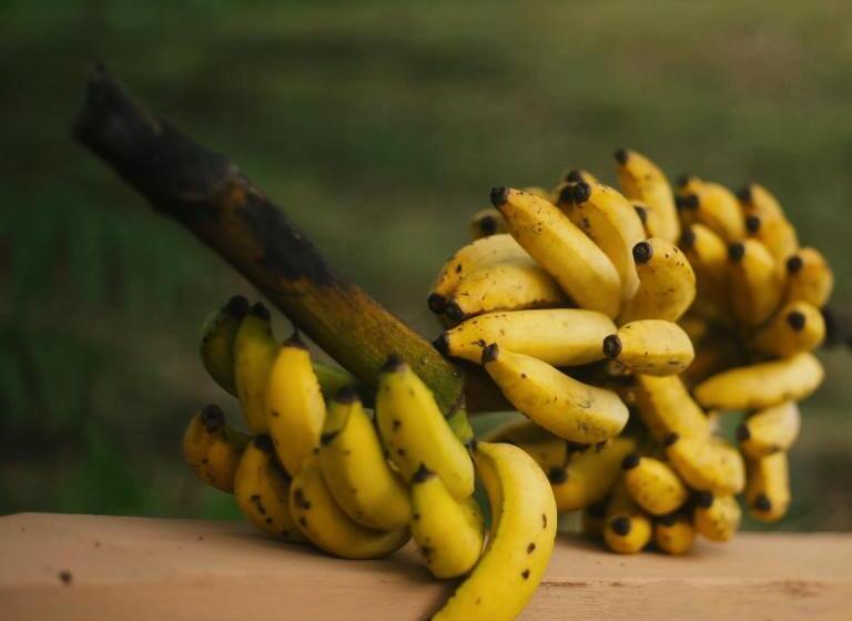 غرفة قياسية رباعية مزودة بشُرفة, Inti Wasi