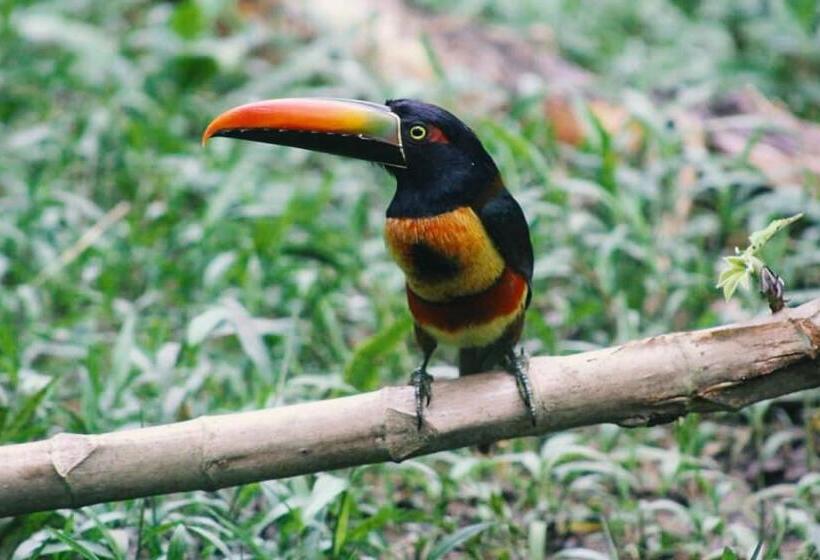 غرفة قياسية مطلّة علي البحيرة, Inti Wasi