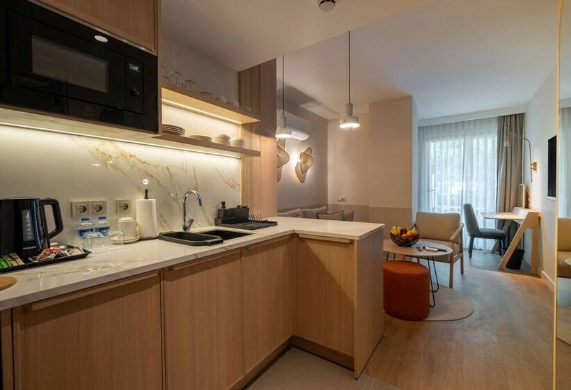 带1个卧室的高级公寓, Oli Hotel And Suites