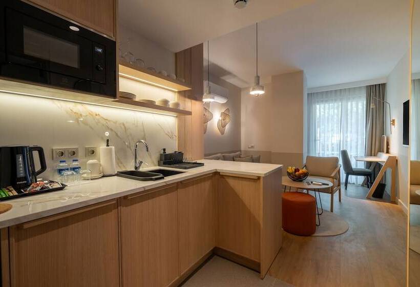 带1个卧室的高级公寓, Oli Hotel And Suites